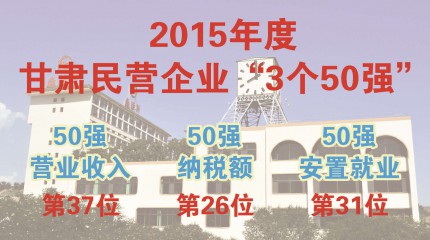  巍雅斯躋身甘肅2015年度民營企業(yè)“三個50強(qiáng)”